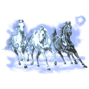 Horses Design